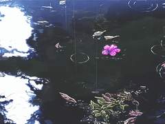 모두가 평등한 세상을 위해