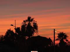 [열대야] 폭염주의보 - 시앤