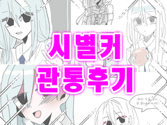 시별커 관통후기