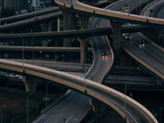 낙론 다이버전트AU