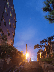 어쩌다 완덕을 하지 못하는가