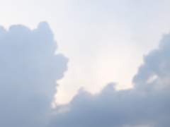 리웨이의 속고백