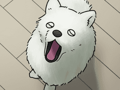 반려동물 커미션