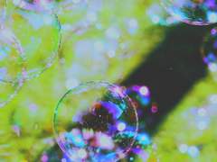 여름은 거짓말 0