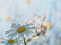 여름은 거짓말 2