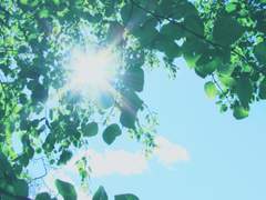 여름은 거짓말 5