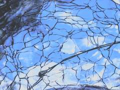 여름은 거짓말 fin