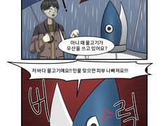 비와 물고기