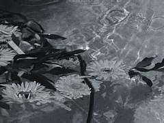 사해四海에 순정을