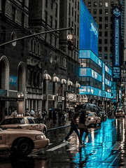 낙원의 이론 다이버전트 AU