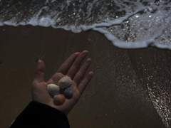 나는 습한 그늘이었는데