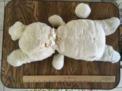 토사호비(兎死狐悲)