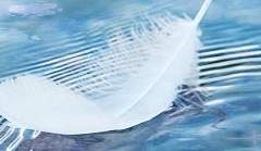 로렌스 J. 윈프레드 [ Lawrence jenna winifred ]