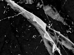 산심목서 / 남겨진 자들