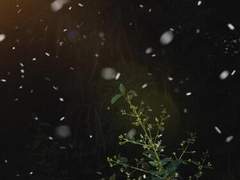 Epilogue , 11월의 이별