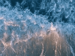 관찰의 이유는 그 대상을 알지 못함에 있다.