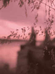 救援 [제노사이]