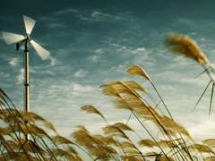 차시 테일러 XY 23