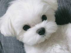 우당탕탕 수인학교 6