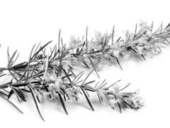 무대 뒤의 마리오네트는 소년을 만난다.