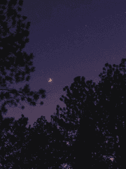 네 생각은 달빛을 타고