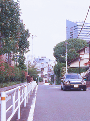 꽃보다 남자 작심삼월