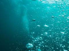 수천년을 산 세@□¤※의 끝은