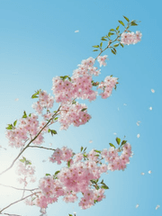 로렌 퍼스널 스토리