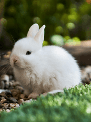 이비 퍼스널 스토리