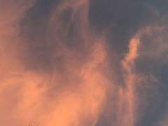 뜨거운 여름날은 가고 남은 건 볼 품 없지만