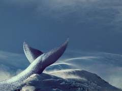 푸른 진주의 기억