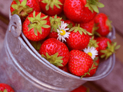 딸기를 좋아하는 그아이 [리친커]