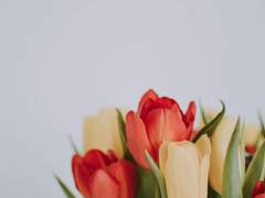 쉬어가기로 했습니다 30