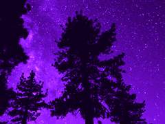 닫힌 판도라의 상자