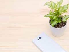 연애는 처음이라