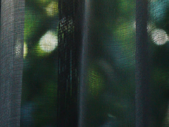 [에바헤릿에바] 소공작 왈츠