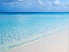 전지적 독자 시점 - 중혁X독자 여름 합작