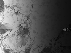 [와타에이] 네가 새의 꿈을 꾸는 것은