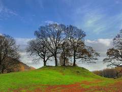 팅커벨 이펙트 (Tinkerbell Effect): 3화