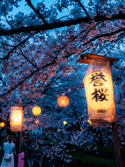 크로스오버 드림