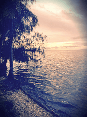 의원, 다시 살다