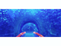 마츠이 하쿠토/XY/18/파묻힌 괴담의 진실은 ■■일뿐