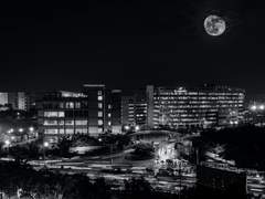 멱살잡이가 보고 싶어서 쓰는 AU, 근데 이제 멱살잡이는 없는