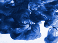 키라의 칭찬은 스우도 춤추게 한다.