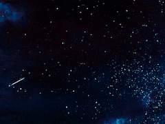 나의, 우리의 문과에게