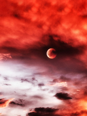 우리는 아직 황혼에서 걷고 있다