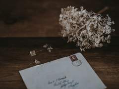 어느 추방자를 위한 변명