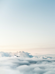 이나즈마일레븐 시리즈