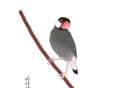 [아라레] A bird on a tree