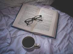 단델금랑 - 회고록, 두 번째 손님.